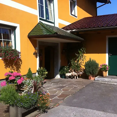 David Puch bei Hallein