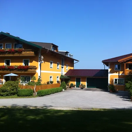 David Puch bei Hallein