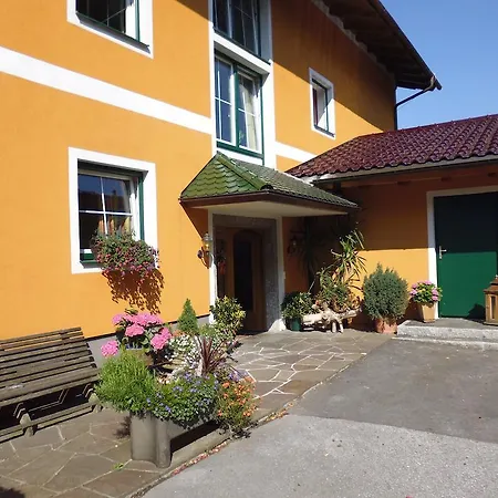 Gasthof David