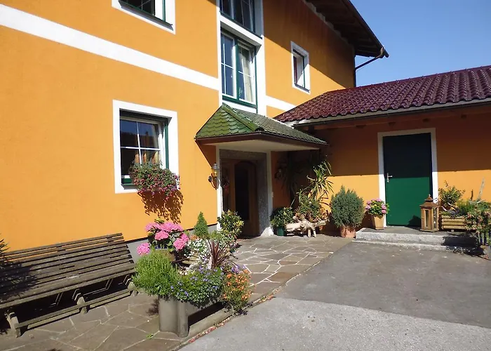 Guest house Pension David